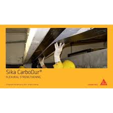 Sika CarboDur® S System The Sika CarboDur® system is a high performance structural strengthening system consisting of Sika CarboDur® plates