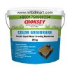 CHOKSEY CHEMICAL